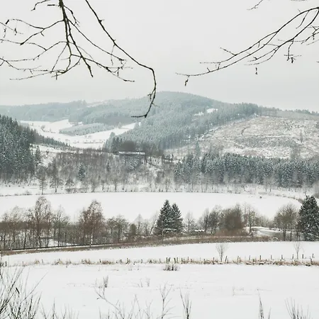 Appartement Welcome In - 60-b In Niedersfeld-winterberg Mit Balkon Und Abstellraum *