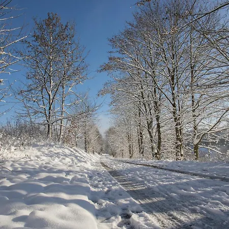 Welcome In - 60-b In Niedersfeld-winterberg Mit Balkon Und Abstellraum * Βίντερμπεργκ